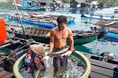 Khai thác 'mỏ' thủy sản trên vùng biển Tây Nam