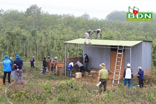 Đắk Nông: Xử lý nghiêm các trường hợp lấn chiếm đất rừng ven Quốc lộ 28