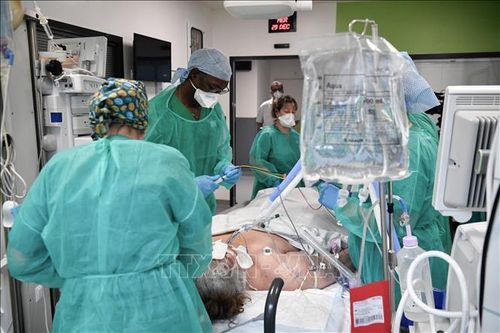 Số ca tử vong do COVID-19 có thể cao hơn gấp 3 lần số liệu thống kê chính thức