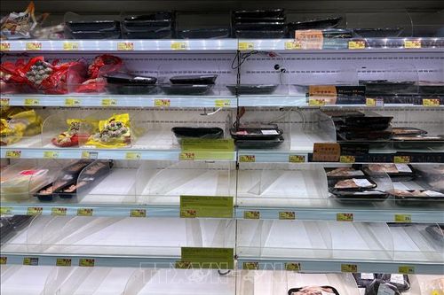 Người tị nạn ở Hong Kong đối mặt khủng hoảng lương thực trong dịch COVID-19