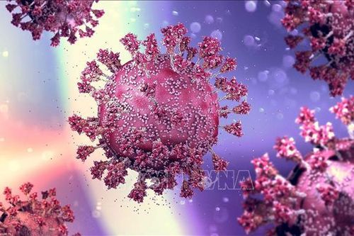 Xuất hiện đột biến kháng thuốc ở bệnh nhân dùng Sotrovimab điều trị COVID-19