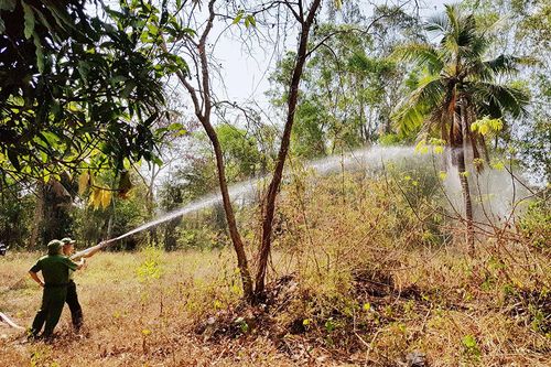 An Giang tập trung bảo vệ rừng mùa khô
