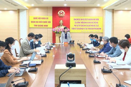 Đoàn ĐBQH tỉnh Quảng Ninh giám sát việc thực hiện pháp luật về tiếp công dân và giải quyết khiếu nại, tố cáo