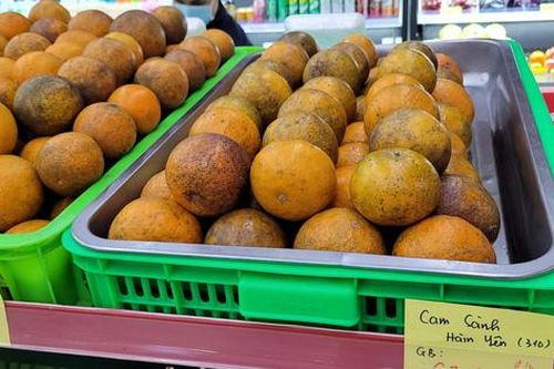 Vì COVID-19, cam sành cuối mùa 'loạn' giá ở Thủ đô