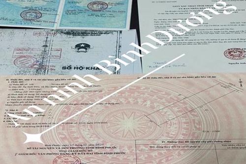 Bình Dương: Bắt đối tượng làm giả sổ đỏ để lừa đảo