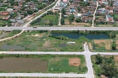 Thanh Hóa chấn chỉnh, xử lý các cuộc đấu giá kiểu 'xã hội đen'