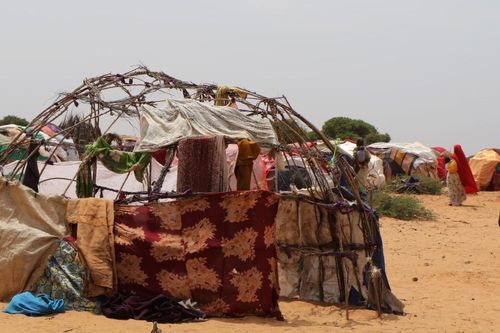 Somalia: Hạn hán nghiêm trọng khiến hàng chục nghìn người phải sơ tán