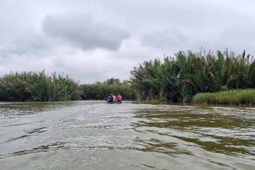 Rừng dừa nước Quảng Ngãi - điểm du lịch sinh thái hấp dẫn