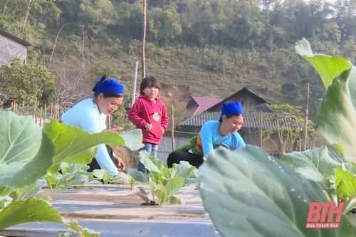 Nhiều giải pháp đưa khoa học - công nghệ vào sản xuất nông nghiệp tại huyện Bá Thước