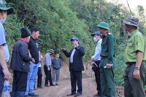 Chuyển hồ sơ vụ phá rừng tại VQG Bidoup – Núi Bà sang cơ quan điều tra