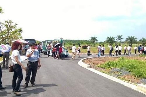 Sập bẫy lừa mua bán nhà đất trong 'cơn sốt', làm việc này ngay