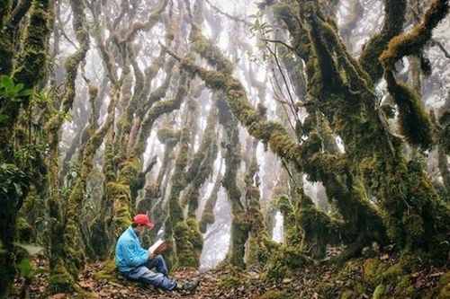 Chinh phục đỉnh Tà Xùa, mãn nhãn với thiên đường 'Mây và Gió'
