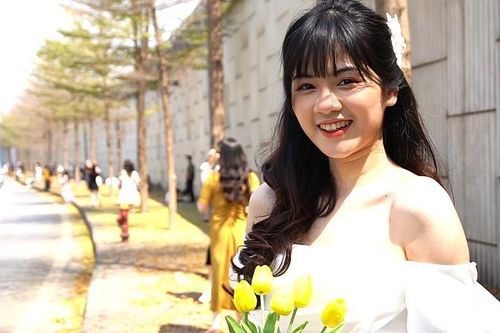 Con đường lá vàng long lanh trong nắng ở Hà Nội, nghìn người đổ về check-in