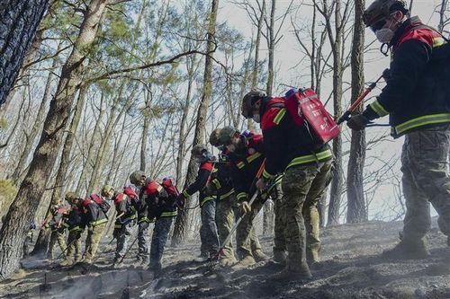 Hàn Quốc dập tắt đám cháy rừng lớn sau hơn 8 ngày bùng phát