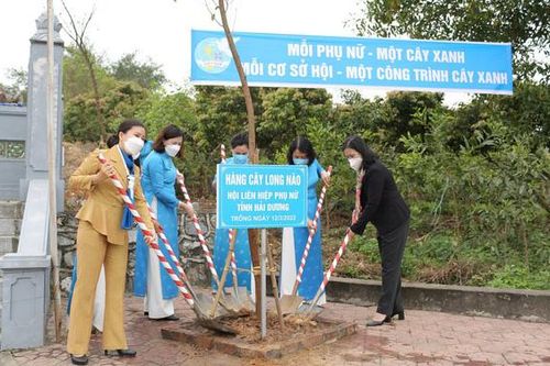 Phụ nữ Hải Dương: Trồng nhiều loại cây quý lâu năm trong 'Tết trồng cây - Phụ nữ vun trồng tương lai'