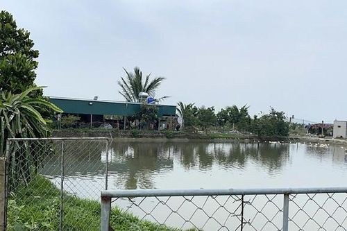 Nghệ An: Triệt phá ổ nhóm đánh bạc trong trang trại lợn