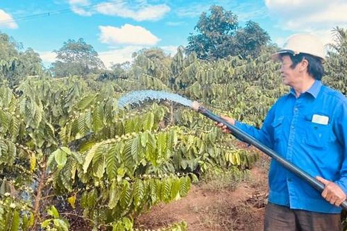 Đắk Lắk: Chủ động phòng, chống hạn cho cây trồng