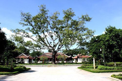 Khơi đúng mạch nguồn văn hóa