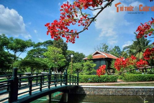 Lặng ngắm phong cảnh tuyệt vời của mảnh đất Đồng Tháp