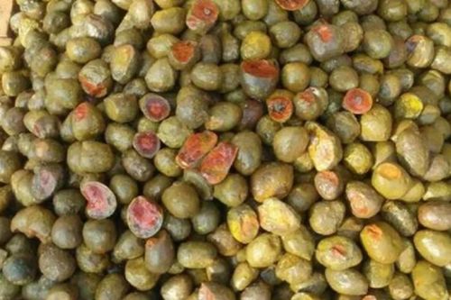 Đào được 'trứng vịt' trên núi, ngã ngửa khi biết báu vật thời Chiến Quốc