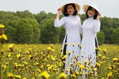 Du khách nô nức 'lội bùn' đến cánh đồng hoa hoàng đầu ấn