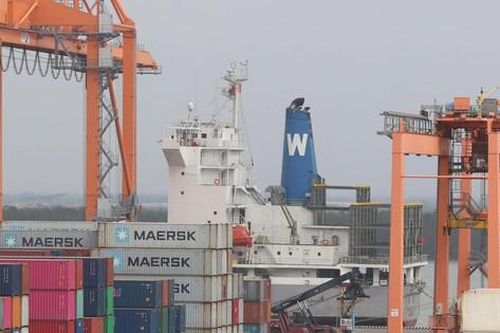 Vụ 100 container hạt điều xuất sang Italia: Bộ Công Thương vào cuộc hỗ trợ doanh nghiệp