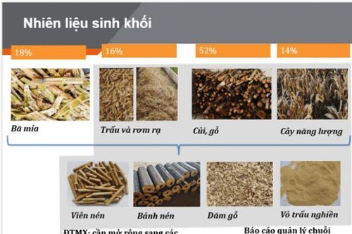 Xây dựng Sổ tay hướng dẫn đánh giá tác động môi trường của dự án điện sinh khối