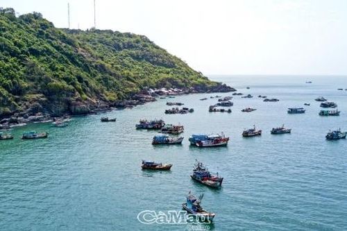 Cà Mau: Khát vọng từ biển - Bài 4: Tăng trưởng xanh