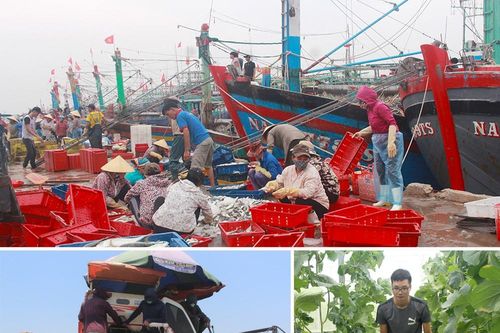 Thúc đẩy chế biến, tiêu thụ nông lâm thủy sản ở Nghệ An