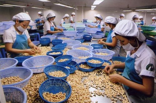 Thời tiết bất thường ảnh hưởng lớn đến năng suất nông sản