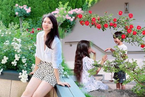 Khu vườn 'cổ tích' nằm giữa lòng nước Đức của người Việt: Vườn đã dạy mình cách kiên nhẫn khi làm mẹ