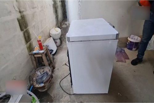 Về nhà sau 2 năm đi làm xa, người đàn ông 'kinh hồn bạt vía' khi mở chiếc tủ đông lạ bị khóa chặt