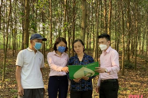 Ngân hàng Chính sách xã hội Ngọc Lặc đẩy mạnh việc học và làm theo gương Bác