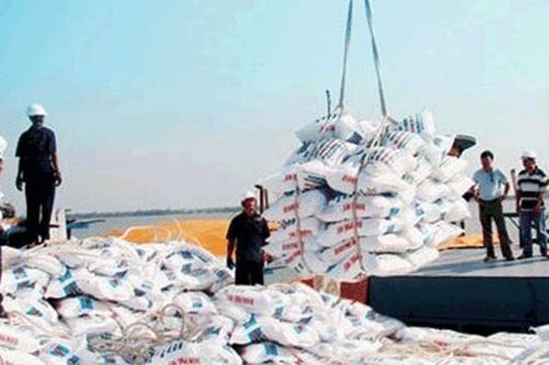 Nhiều đơn hàng bị hủy, giá phân bón trong nước đồng loạt tăng cao