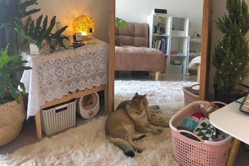 Decor phòng trọ 21 m2 hết 8,3 triệu đồng