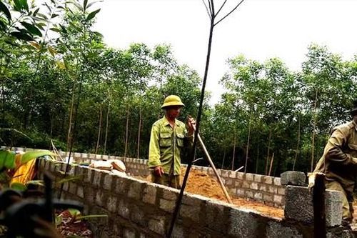 Giải phóng mặt bằng cao tốc Bắc - Nam: Ồ ạt xây dựng trái phép chờ đền bù