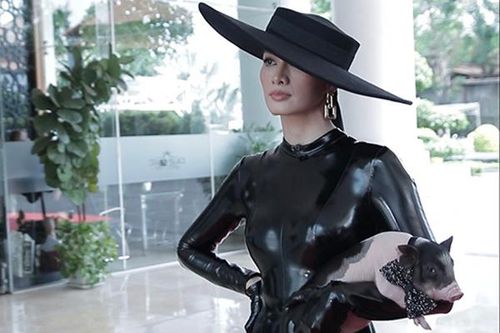 Anh Thư bế heo đi chấm thi The Face cùng Vũ Thu Phương, Minh Triệu
