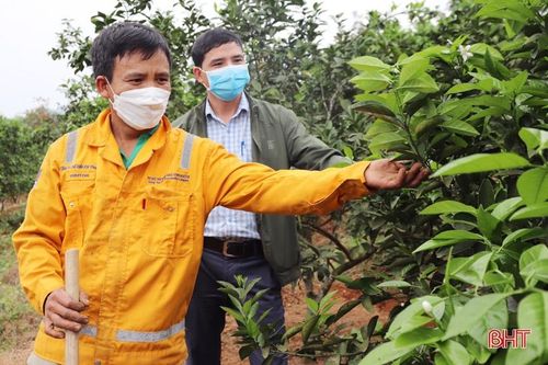 'Sân chơi' bổ ích cho người dân miền núi Vũ Quang
