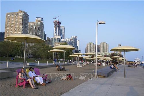 Vé máy bay và các gói kỳ nghỉ có khả năng tăng giá mạnh ở Canada