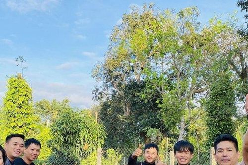 Đắk Lắk thu hút, kêu gọi đầu tư vào nông nghiệp, chế biến