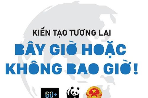 Đà Nẵng: Tắt các bảng quảng cáo lớn hai bên bờ sông Hàn trong thời gian diễn ra giờ Trái đất 2022
