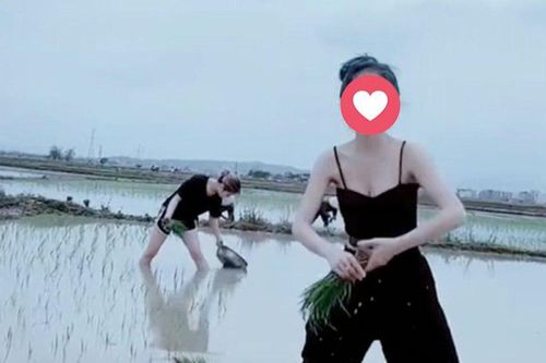 Mặc áo 2 dây 'mát mẻ' đi cấy, cô gái trẻ bị dân mạng bóc mẽ: 'Màu mè phông bạt chứ cấy lúa nỗi gì'