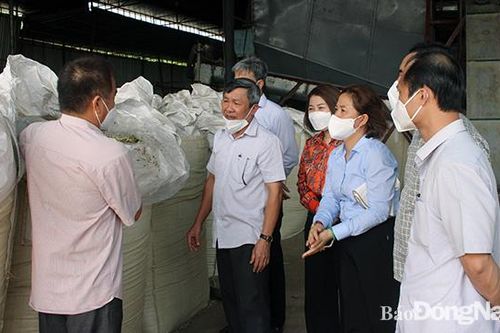 Tăng cường liên kết trong sản xuất nông nghiệp
