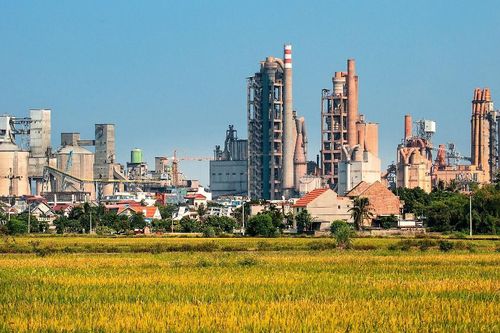 Áp lực và lựa chọn duy nhất để 'sống'