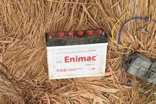 Dùng điện bẫy chuột làm hàng xóm tử vong