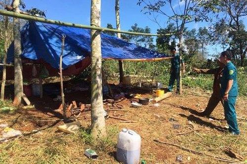 Người phụ nữ bị sét đánh tử vong khi hái rau ở TP.HCM