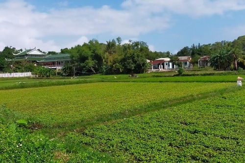 Quy hoạch tu bổ, phục hồi Danh thắng quốc gia đặc biệt Ngũ Hành Sơn