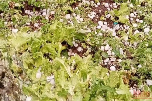 1 người chết, 1 người bị thương do sét đánh tại Sơn La