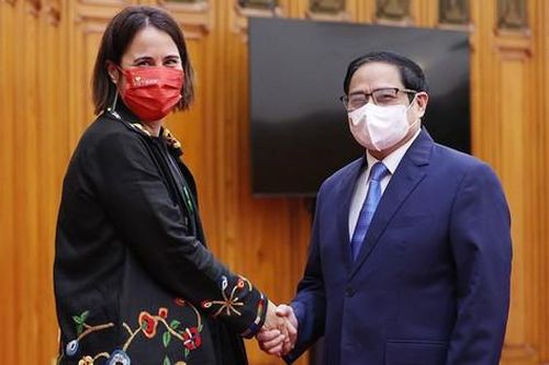 Phấn đấu kim ngạch thương mại hai chiều Việt Nam - New Zealand đạt 2 tỷ USD