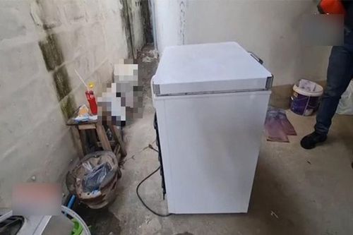 Người đàn ông kinh hãi khi mở chiếc tủ đông lạ bị khóa trong nhà